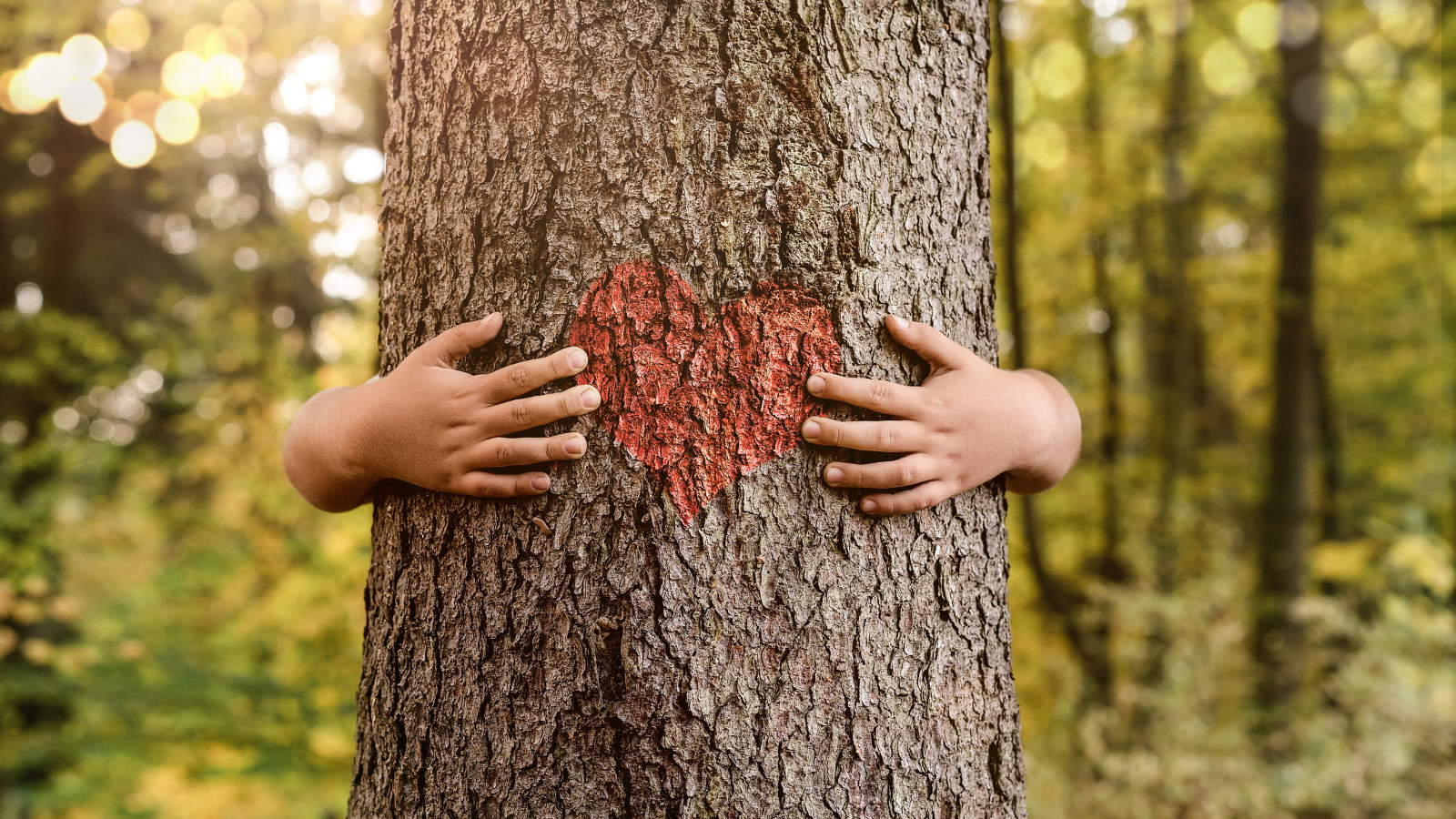 Mathxwi Save the Tree! | Máthxwi Elementary